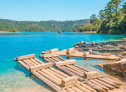 Primer lago con fondo de bosque