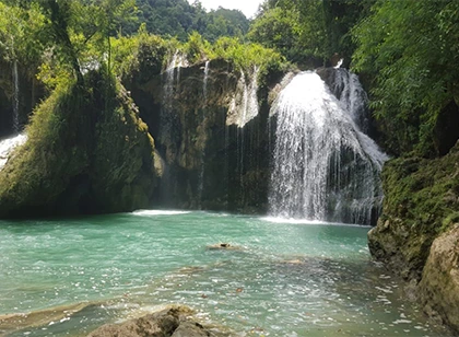 Primer lago con fondo de bosque