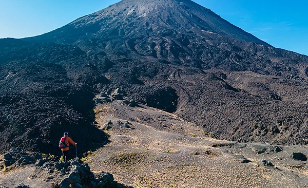 Primer lago con fondo de bosque